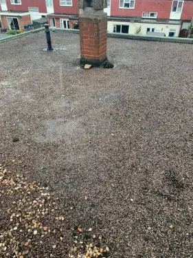 Click Here To Enlarge This Photo Of 50 Year Old Felt Roof