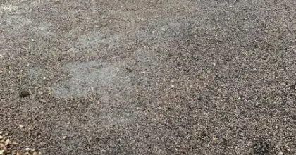 50 Year Old Felt Roof